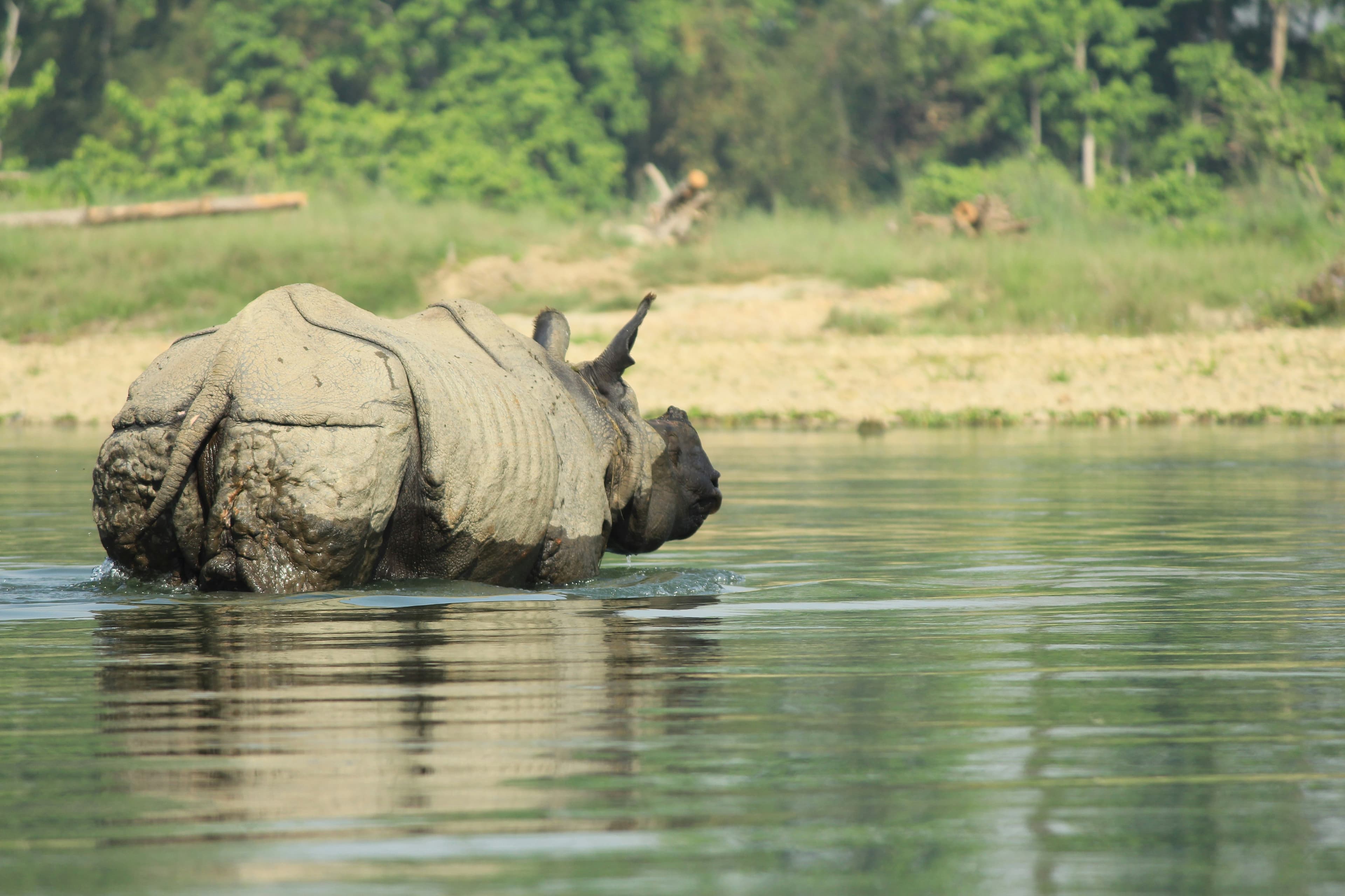 Kathmandu - Nagarkot - Chitwan - Pokhara - Bandipur