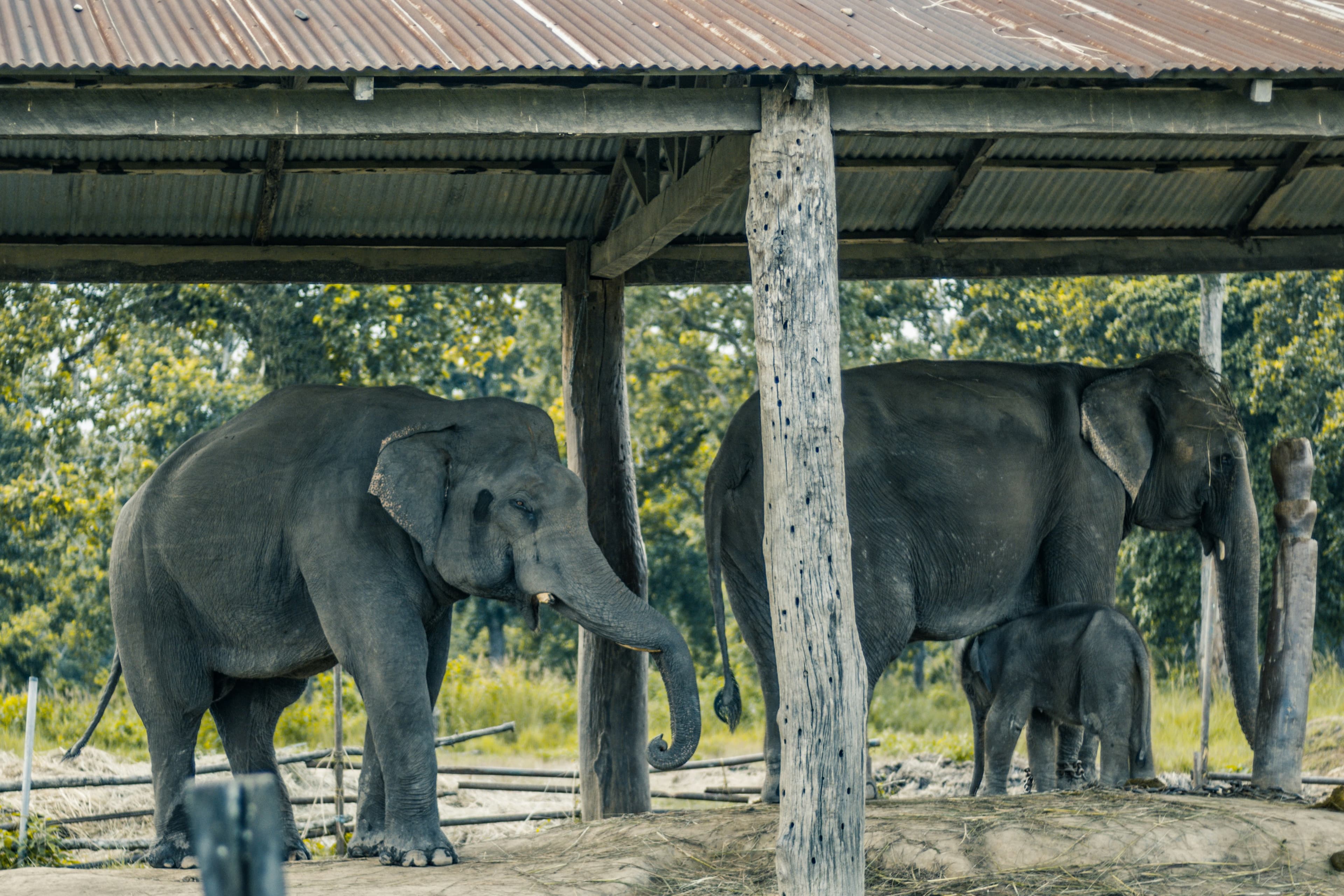 Kathmandu - Nagarkot - Chitwan