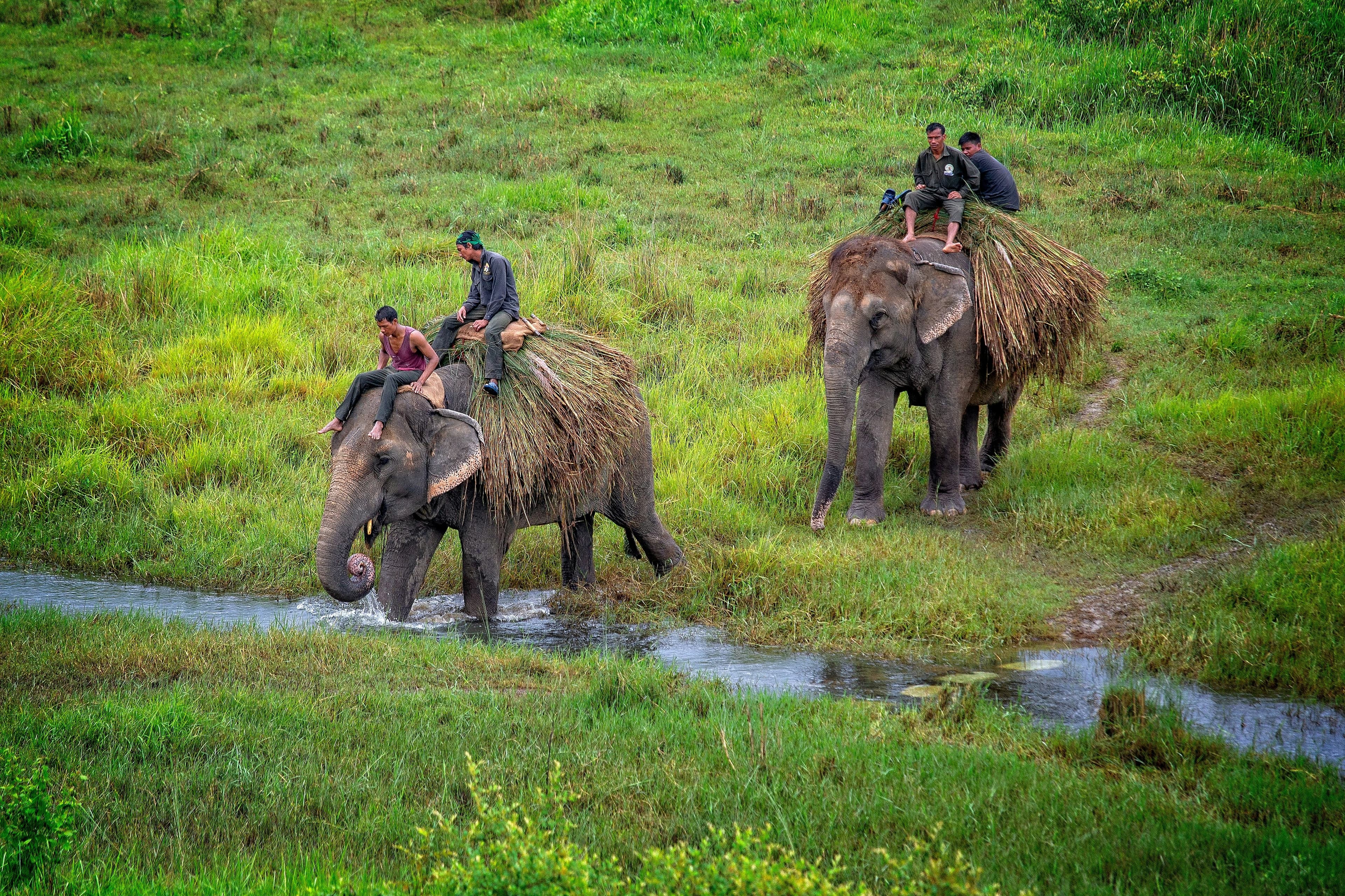 Kathmandu–Chitwan Jungle & Culture Tour