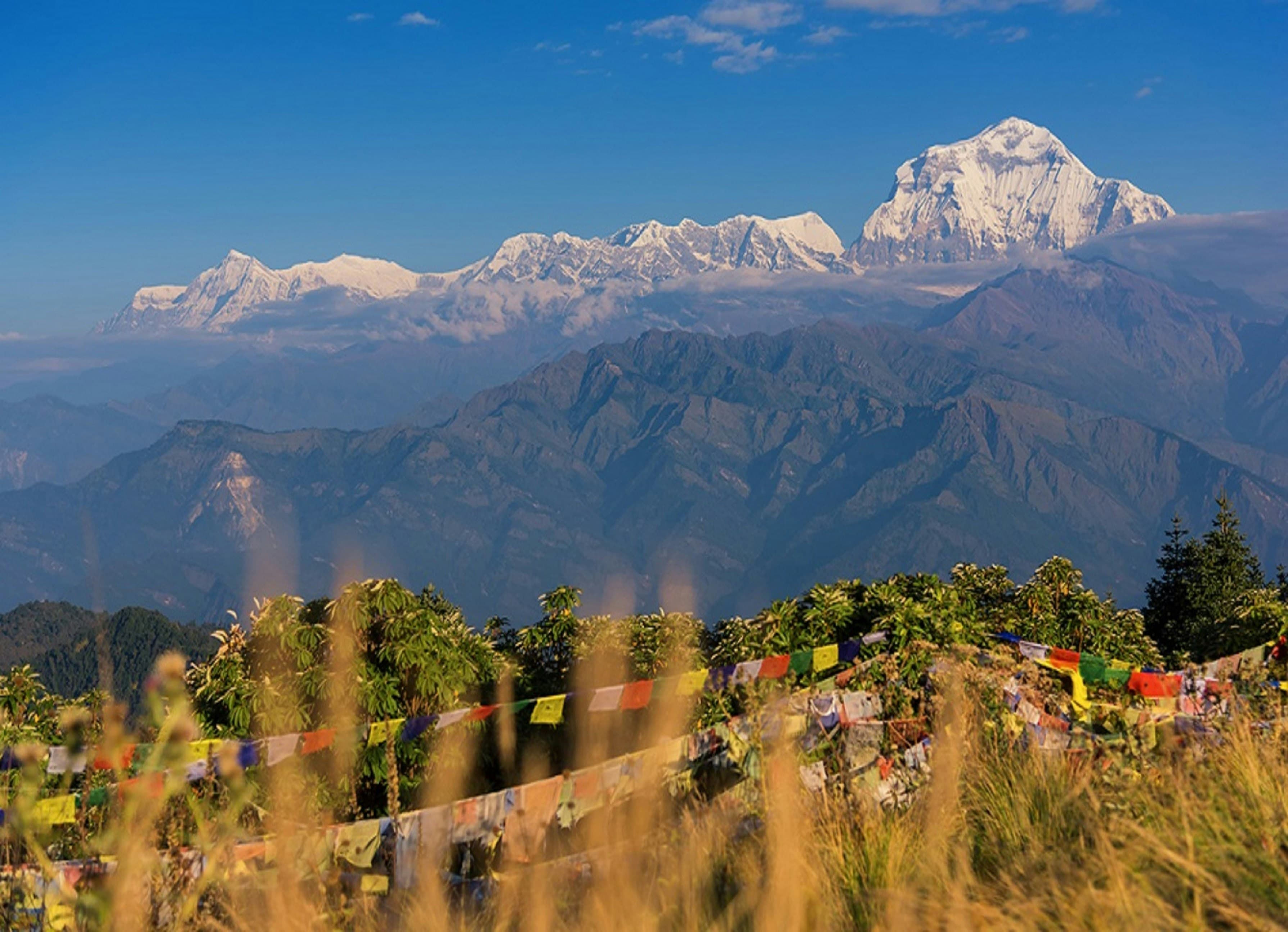 Ghorepani Ghandruk Trek